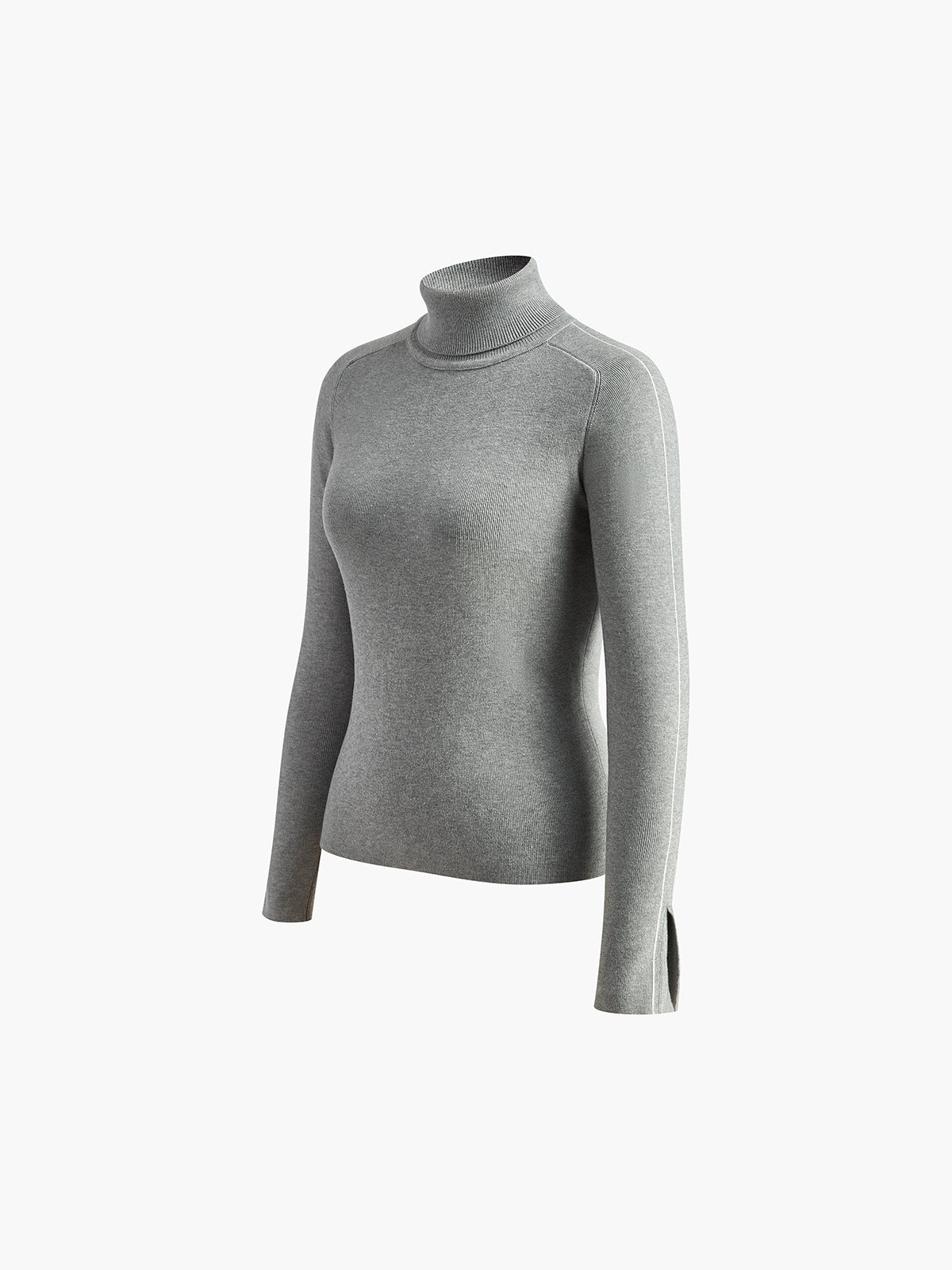Elvi Knit Turtleneck